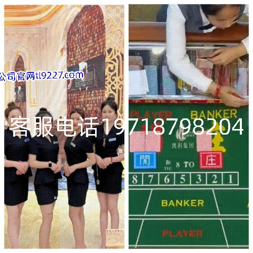 腾龙公司首页联系我们